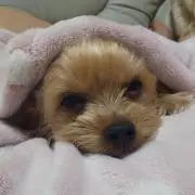 はなこ❀の画像