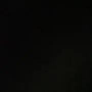 13eLLの画像