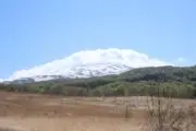 自然っていいよねの画像