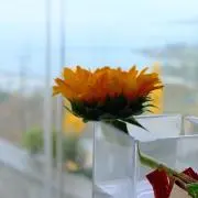 ひじき