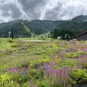 ものの気持ちの画像