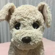 ちゃなこの画像