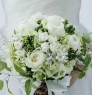 Flower Girlの画像