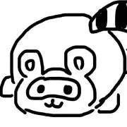 ゆきんこの画像