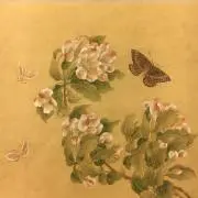 Sasaの画像