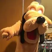 たぁの画像