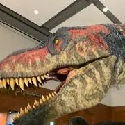 ヒロキの画像