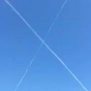 にゃろめの画像
