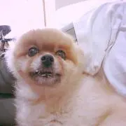 junonkokonaの画像