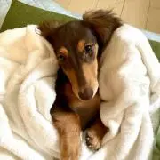 ゆっぺ（プロフィール必ず読んで下さい）