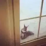 ちゃみおの画像