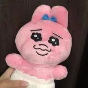 Sの画像