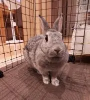 ツ*ん様 【画面欠けあり】Google Pixel 6a ホワイト 初期化済み - メルカリ