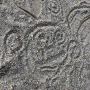 Sの画像