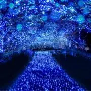 R♡Yの画像