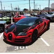 ホルモンラクダ