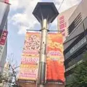 ケルシー