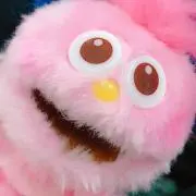 くっくの画像