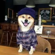 コーヒー