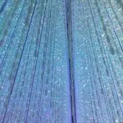 チャブラーしかの画像