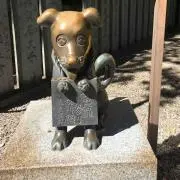 サッチンの画像