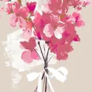 Maの画像