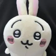 misaの画像