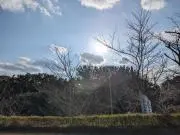 まる(24時間以内発送)