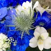 断捨離中　さくらの画像