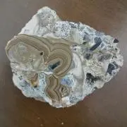 てっつんの画像
