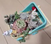 三ツ谷♡(*˘︶˘*).。.:*♡