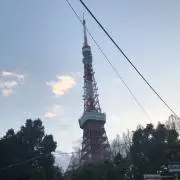 せいの画像