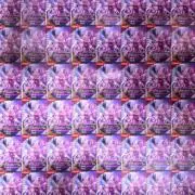 モルモットの画像