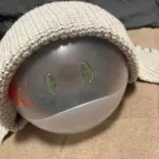 まーたん（プロフィール必読）の画像