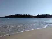 ぴぃの画像