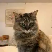Sallyの画像