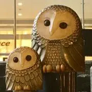 梟の画像