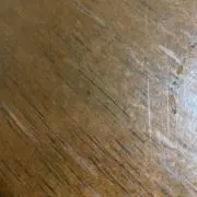 Sammyの画像
