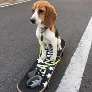 ライくんの画像