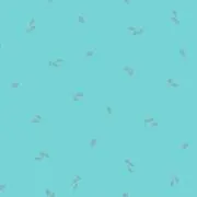 みかんの画像