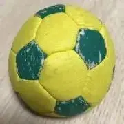 かんちゃんの画像