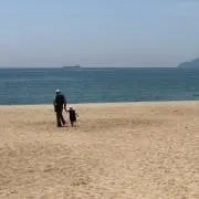 堅パン！の画像