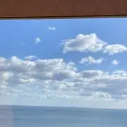 ワンコ　プロフィール確認要の画像