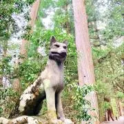 ワンダー2の画像