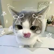 美品ストアーの画像
