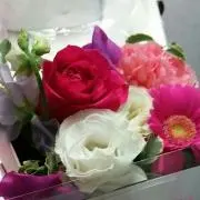 BA055074★の画像