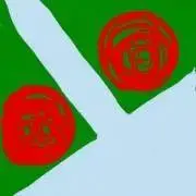 かうライカの画像