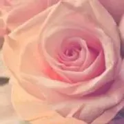 ゆき