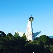 タマゴの画像