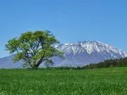 佐藤敏正の画像